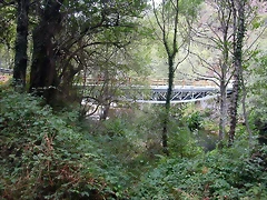 DSCN2317 DSCN2317