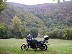 DSCN2190 DSCN2190