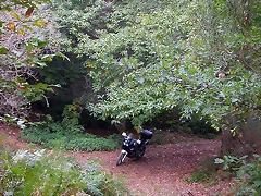 DSCN2205 DSCN2205