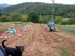 DSCN2239 DSCN2239