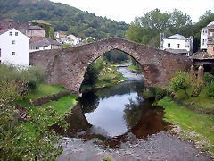 DSCN2247 DSCN2247