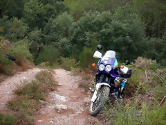 DSCN2260 DSCN2260