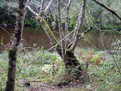 DSCN2307 DSCN2307