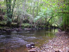 DSCN2184 DSCN2184