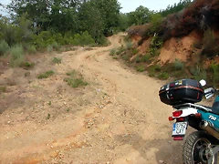 DSCN2223 DSCN2223
