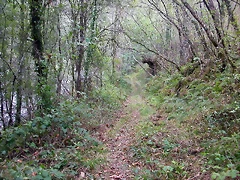 DSCN2302 DSCN2302