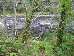 DSCN2303 DSCN2303