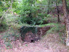 DSCN2165 DSCN2165