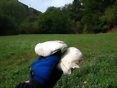 DSCN2178 DSCN2178