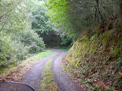 DSCN2195 DSCN2195