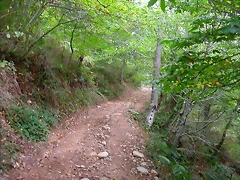 DSCN2204 DSCN2204