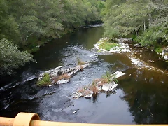 DSCN2277 DSCN2277