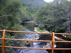 DSCN2319 DSCN2319