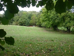 DSCN2182 DSCN2182