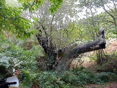 DSCN2203 DSCN2203