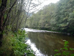 DSCN2310 DSCN2310