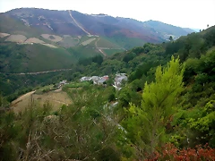 DSCN2295 DSCN2295