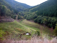 DSCN2198 DSCN2198