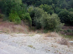 DSCN2199 DSCN2199