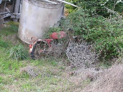 DSCN2161 DSCN2161
