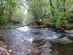DSCN2186 DSCN2186