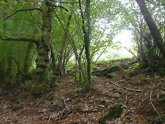 DSCN2185 DSCN2185