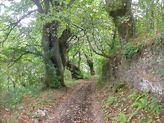 DSCN2212 DSCN2212