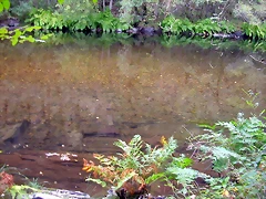 DSCN2308 DSCN2308