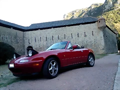IMG_20131128_123353 IMG_20131128_123353