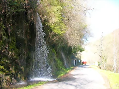 DSCN8021 DSCN8021