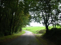 DSCN5829 DSCN5829