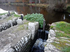 DSCN0763 DSCN0763