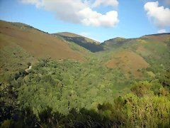 DSCN4293 DSCN4293