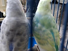 IMG_20180815_074748181