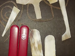 20180618_170334 20180618_170334