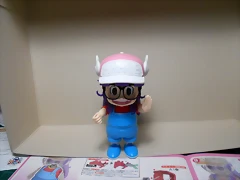 DSCN6309 DSCN6309
