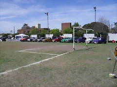 SDC10463 SDC10463