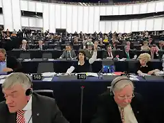 Parlamentarios europeos