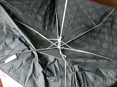 DSCN9941