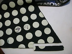 DSCN9985 DSCN9985