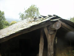 DSCN4733 DSCN4733