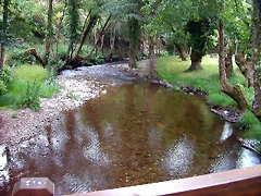 DSCN3295 DSCN3295