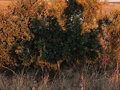 IMG_20200907_212357