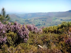 DSCN4482 DSCN4482