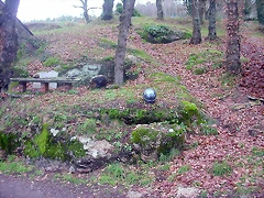 DSCN5393 DSCN5393