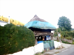 DSCN0693 DSCN0693