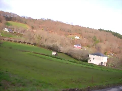 DSCN1207 DSCN1207