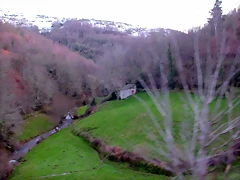 DSCN1248