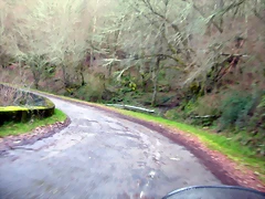 DSCN1213 DSCN1213