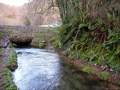 DSCN1243